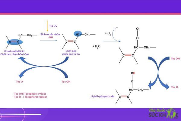 B&agrave; bầu uống Vitamin E c&oacute; t&aacute;c dụng g&igrave;?