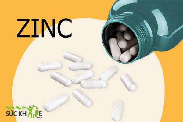 uống kẽm v&agrave; vitamin D3 c&ugrave;ng l&uacute;c được kh&ocirc;ng, Vai tr&ograve; của kẽm 