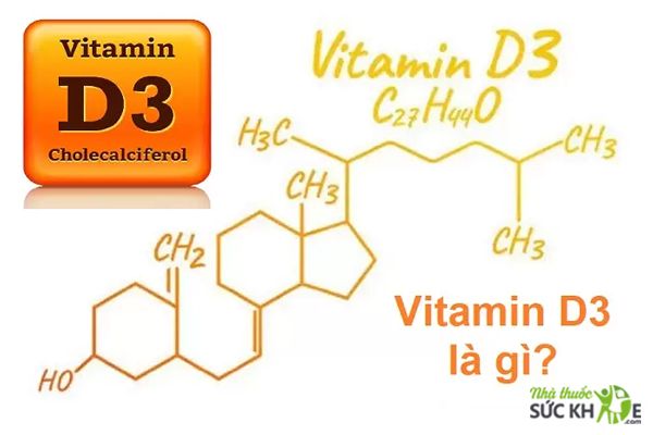 Vitamin D3 l&agrave; g&igrave;?