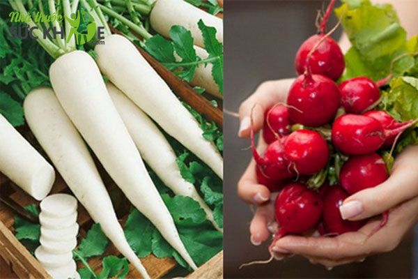 Vitamin K c&oacute; trong thực phẩm n&agrave;o