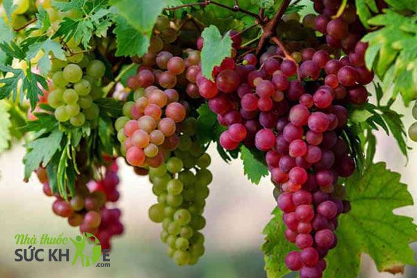 Vitamin K c&oacute; trong thực phẩm n&agrave;o