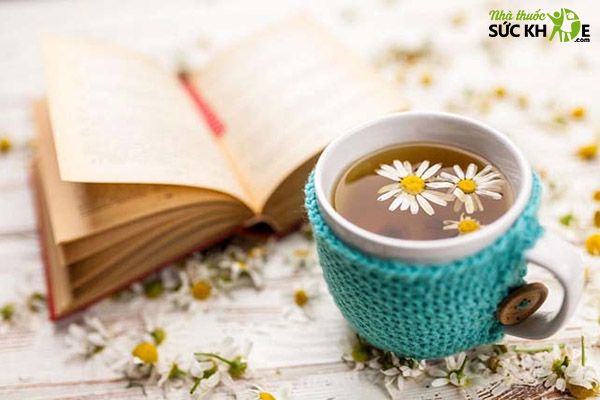 C&aacute;c loại tr&agrave; tăng sức đề kh&aacute;ng