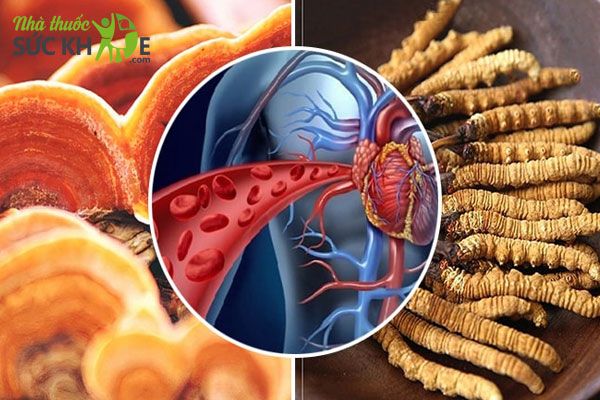 C&aacute;ch l&agrave;m đ&ocirc;ng tr&ugrave;ng hạ thảo ng&acirc;m rượu với nấm linh chi&nbsp;