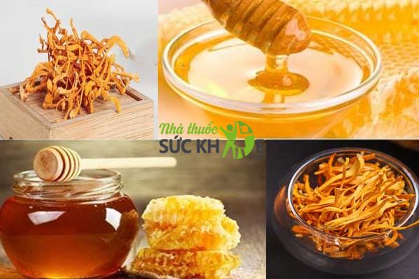 Đ&ocirc;ng tr&ugrave;ng hạ thảo ng&acirc;m mật ong&nbsp;