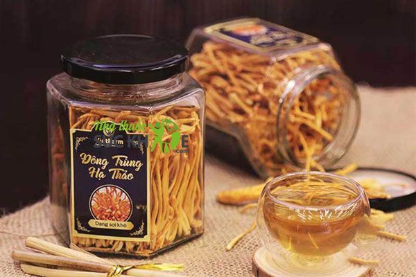 Lưu &yacute; khi sử dụng đ&ocirc;ng tr&ugrave;ng hạ thảo&nbsp;