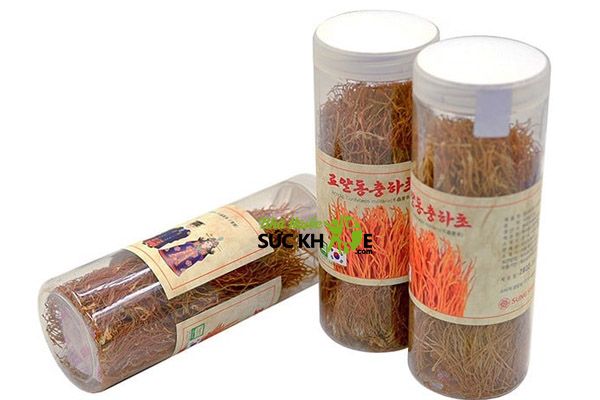 Nấm đ&ocirc;ng tr&ugrave;ng hạ thảo H&agrave;n Quốc