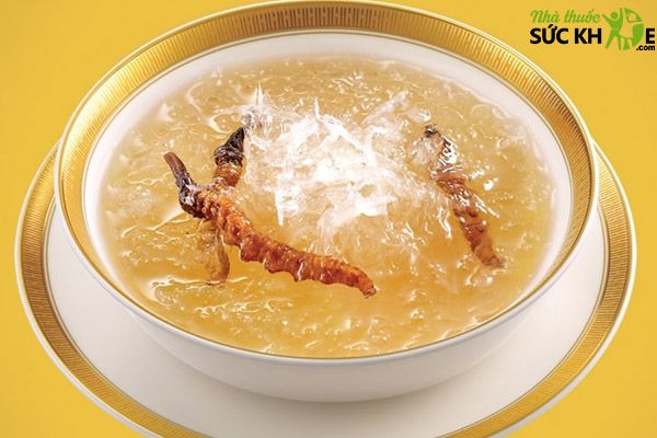 Yến chưng đ&ocirc;ng tr&ugrave;ng hạ thảo