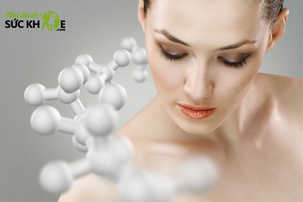 Collagen- Th&agrave;nh phần v&agrave;ng chống l&atilde;o h&oacute;a