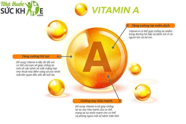 Th&agrave;nh phần thuốc bổ mắt Nhật Bản&nbsp;