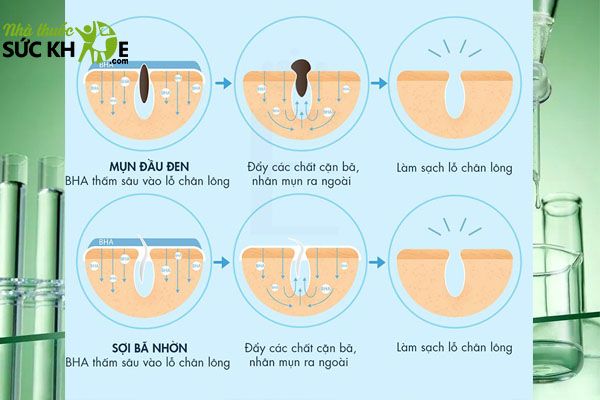 G&iacute;a của sản phẩm t&ugrave;y thuộc v&agrave;o thương hiệu, dung t&iacute;ch v&agrave; nh&agrave; ph&acirc;n phối