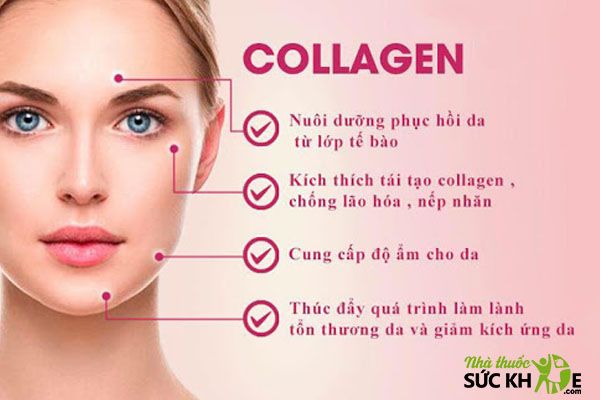Collagen l&agrave;m đẹp da, ngăn ngừa l&atilde;o h&oacute;a