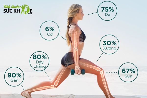 Collagen c&oacute; mặt ở hầu hết bộ phận tr&ecirc;n cơ thể người