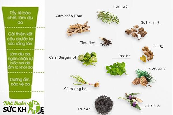 Th&agrave;nh phần chiết xuất từ thi&ecirc;n nhi&ecirc;n