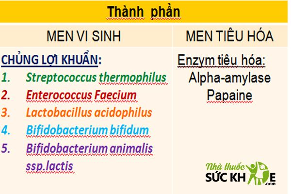 Th&agrave;nh phần trong men vi sinh