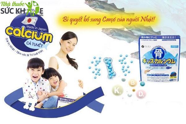 T&aacute;c dụng của bột canxi c&aacute; tuyết