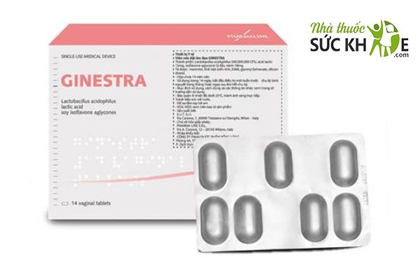 Vi&ecirc;n đặt GINESTRA của &Yacute;