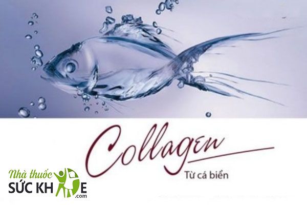Collagen chiết xuất từ c&aacute; chứa th&agrave;nh phần an to&agrave;n, đ&atilde; được kiểm định