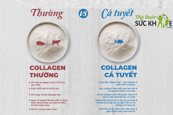 Collagen từ c&aacute; dễ hấp thu, &iacute;t t&aacute;c dụng phụ