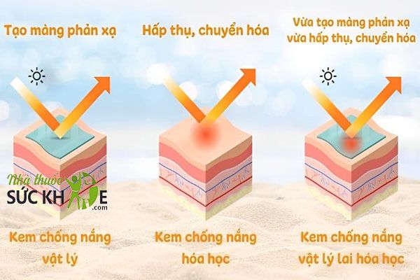 3 loại kem chống nắng phổ biến hiện nay