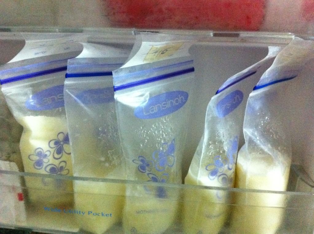 Sữa có thể bảo quản trong tủ lạnh được 10h khi dùng túi trữ sữa Lasinoh