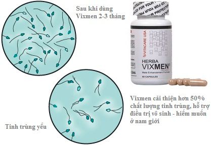 Viên uống herba Vixmen cải thiện chất lượng tinh trùng