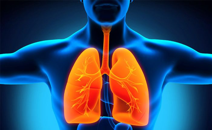 Swisse Lung Health chứa công thức tổng hợp cao cấp các loại thảo mộc, vitamin & khoáng chất, bổ trợ phổi và hệ hô hấp