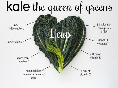 Bột Cải Xoăn Kale Nature’s Way cung cấp cho bạn Lượng canxi nhiều gấp 23 lần so với sữa. Nhiều chất sắt hơn rau bina 14 lần