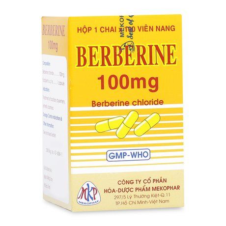 Thuốc trị hội chứng lỵ do trực khuẩn, viêm ruột Berberin 1