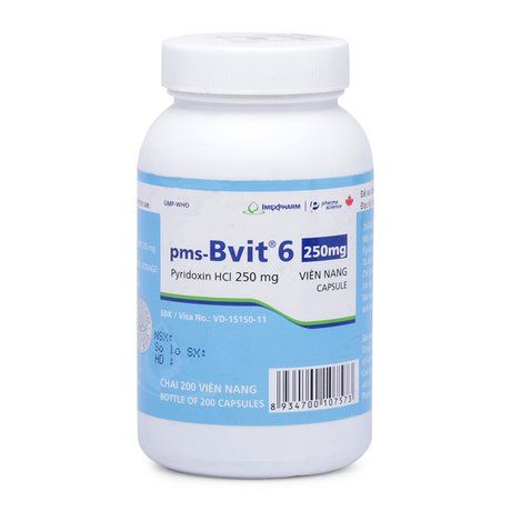 Thuốc điều trị và phòng bệnh thiếu Vitamin B6 PMS- BVIT 6 1