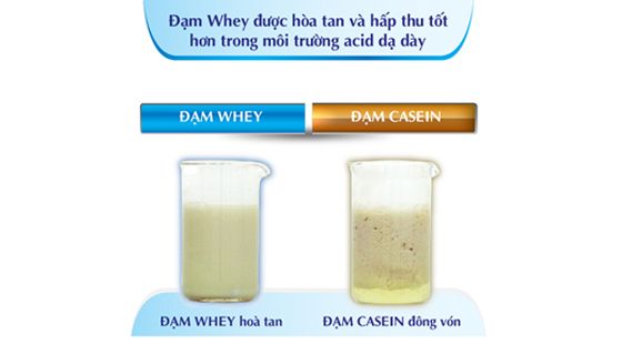 Sữa Peptamen 100% đạm whey dễ hấp thu, tiêu hóa, không gây tiêu chảy
