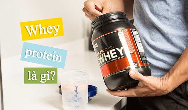 Whey protein là gì?