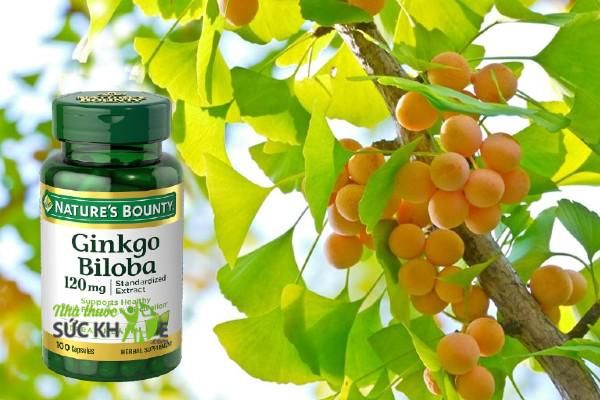 Nature's Bounty Ginkgo Biloba 120mg Viên uống bổ não tăng trí nhớ