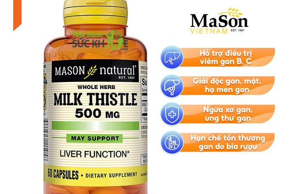Thành phần viên uống hỗ trợ gan Mason Natural Milk Thistle 500mg