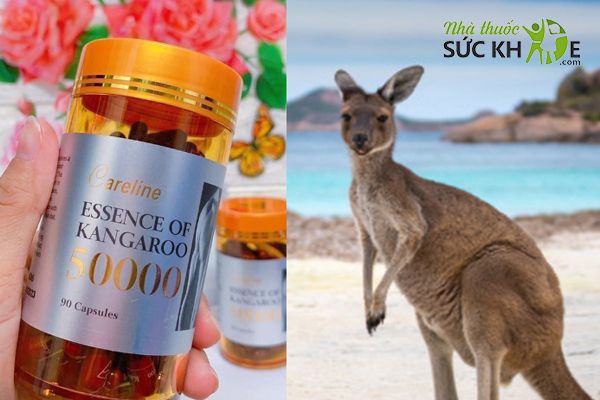 Careline Essence of Kangaroo 50000 chứa thành phần chiết xuất từ thiên nhiên