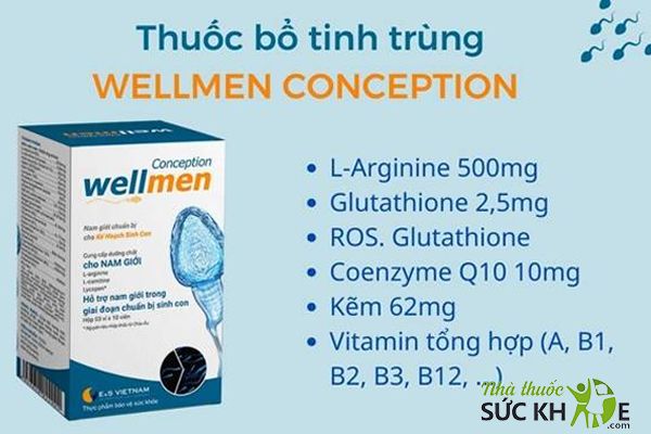Viên uống Wellmen Conception chứa 19 loại Vitamin và khoáng chất thiết yếu