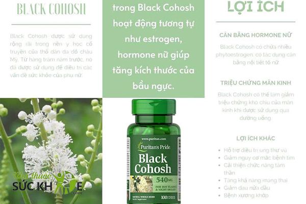 Viên uống Puritan’s Pride Black Cohosh 540mg cải thiện các dấu hiệu tiền- mãn kinh