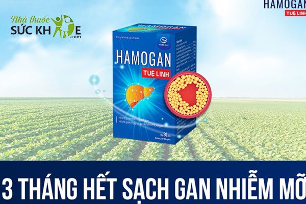 Sử dụng sản phẩm theo chỉ dẫn của chuyên gia
