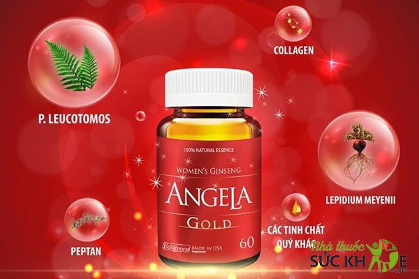 Thành phần trong Sâm Angela Gold