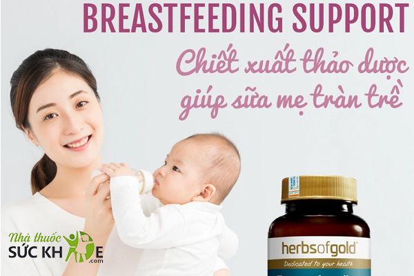 Viên uống lợi sữa Herbs of Gold có thể dùng sau khi sinh 2- 3 ngày