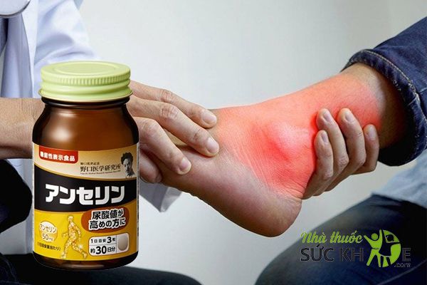 Anserine Noguchi hỗ trợ giảm cơn đau do gout