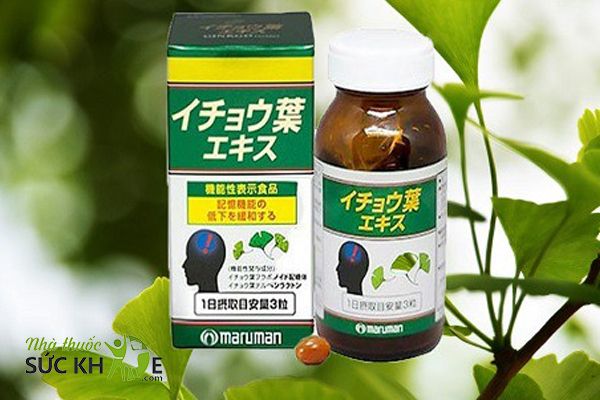 Thành phần chiết xuất từ lá bạch quả