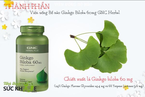 Chiết xuất từ lá bạch quả