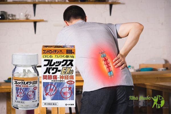 Viên uống Flex Power Ex hỗ trợ giảm đau xương khớp