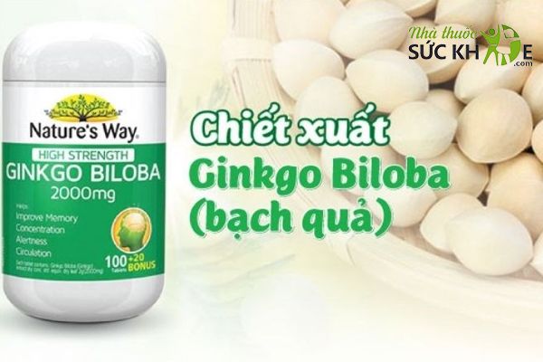 Ginkgo Biloba Nature's Way hỗ trợ hoạt huyết dưỡng não