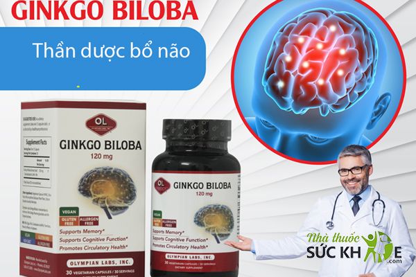 Viên Ginkgo Biloba 120mg Olympian Labs chứa thành phần chiết xuất từ thiên nhiên