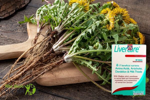 Viên uống Healthaid LiverCare chứa thành phần chiết xuất từ cây kế sữa