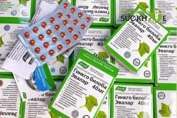 Ginkgo Biloba Evalar dùng cho người sau tai biến mạch máu não