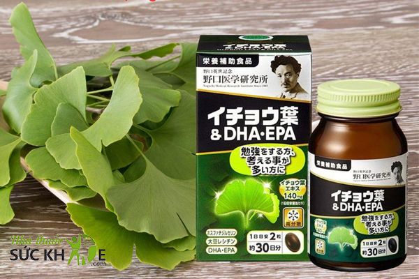 Thành phần chiết xuất từ lá bạch quả