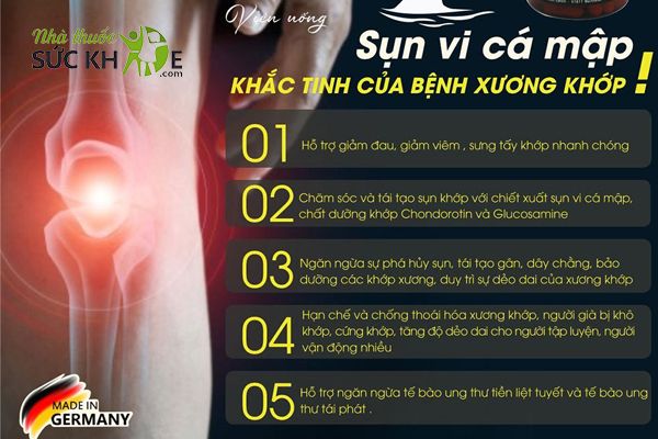 Viên uống hỗ trợ tái tạo sụn khớp, tăng dịch nhầy bôi trơn khớp