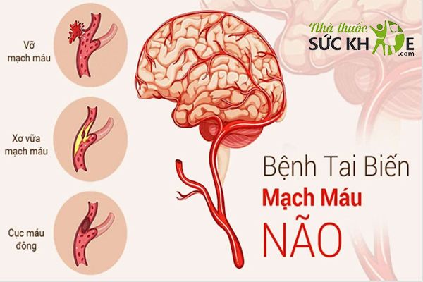 Không tự ý tăng hoặc giảm liều dùng